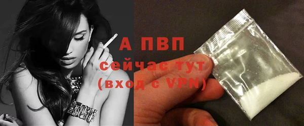 прущие крисы Баксан
