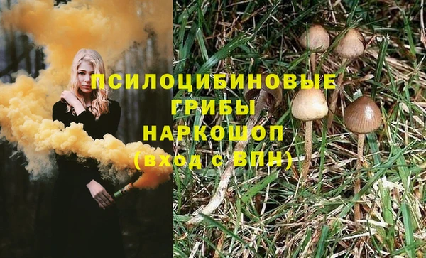 прущие крисы Баксан