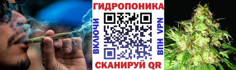 mega ONION  Новый Оскол  Бошки марихуана OG Kush 